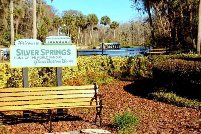 Retirement Blog Silver Spring State Park