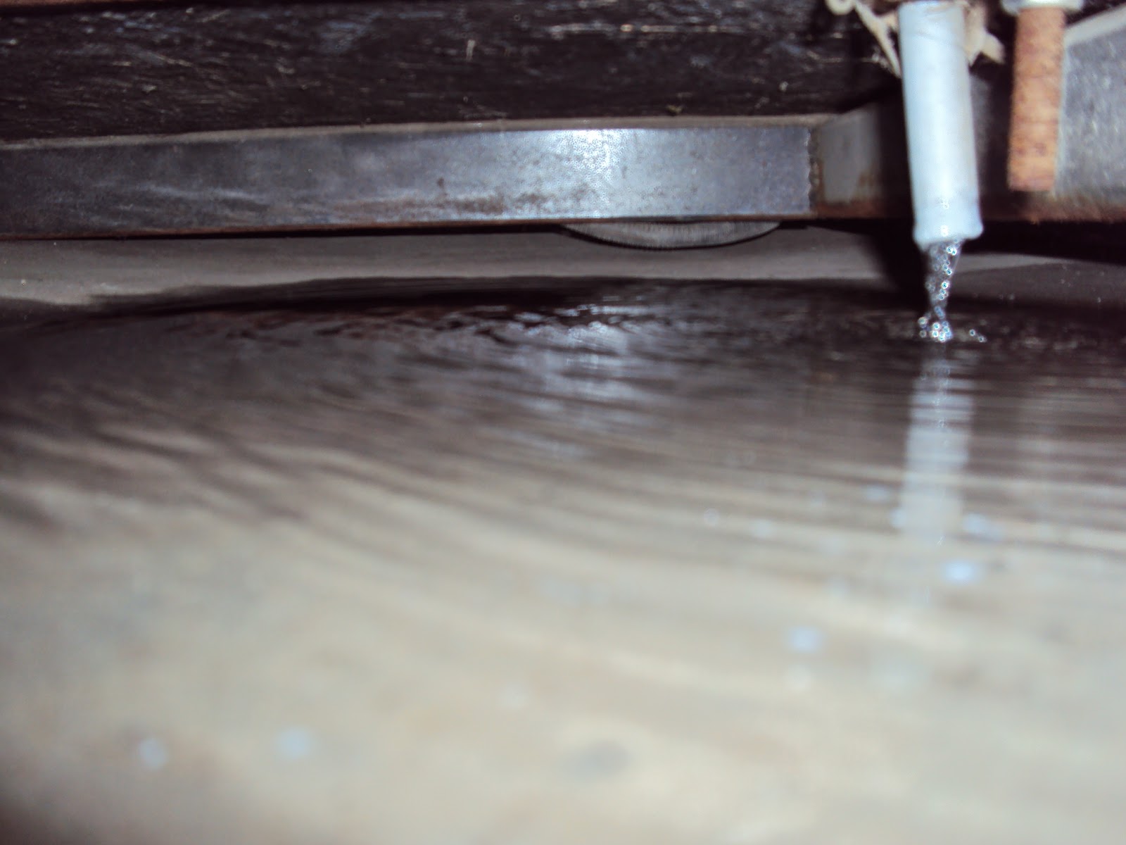 WanderMan Finding Pesky RV Tank & Drain Leaks