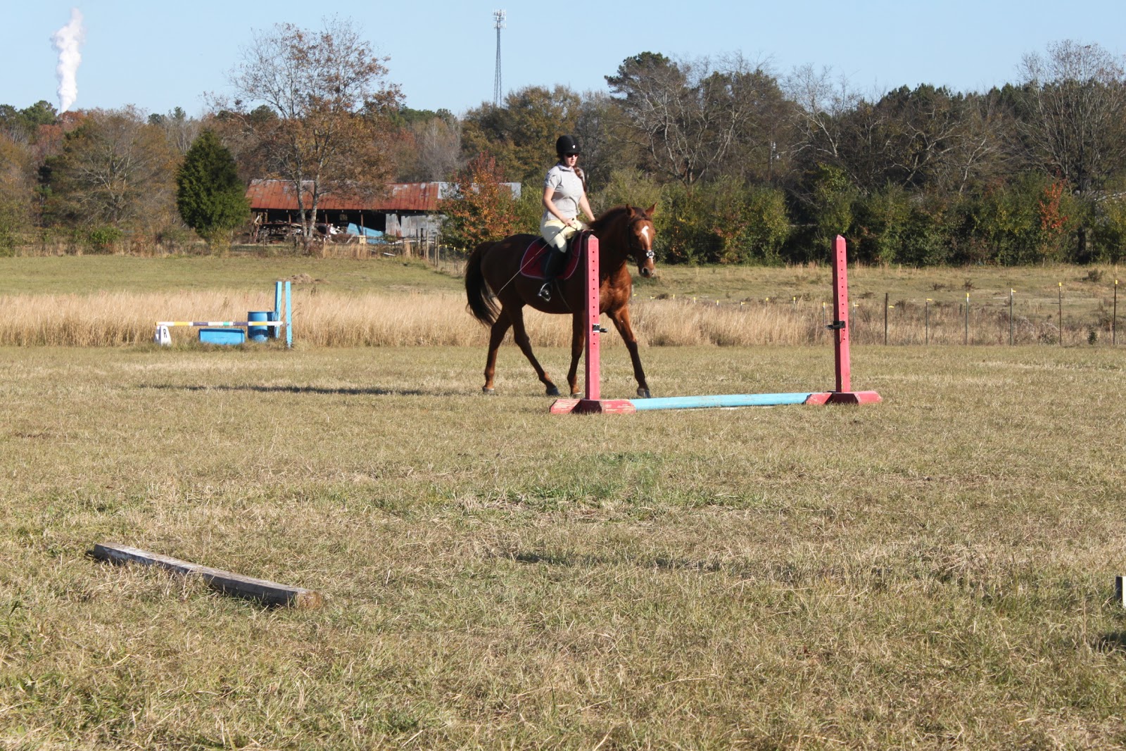 Springstone Horses Suppleness Using a Jumping Exercise to Improve