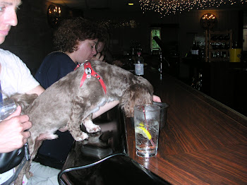 CCG - Gizmo at the Bar