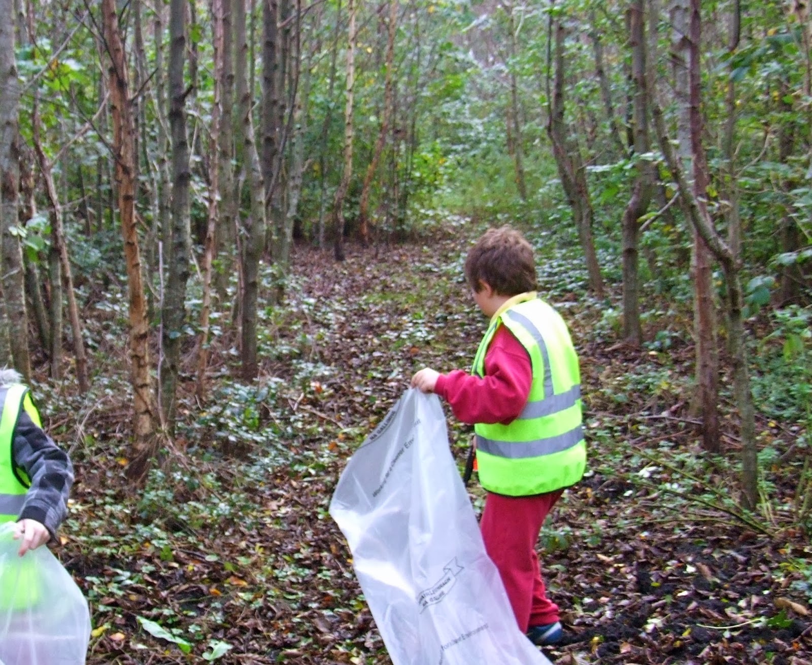 Speedie's Blog Help Clean Up a Forest & Create a Community Garden