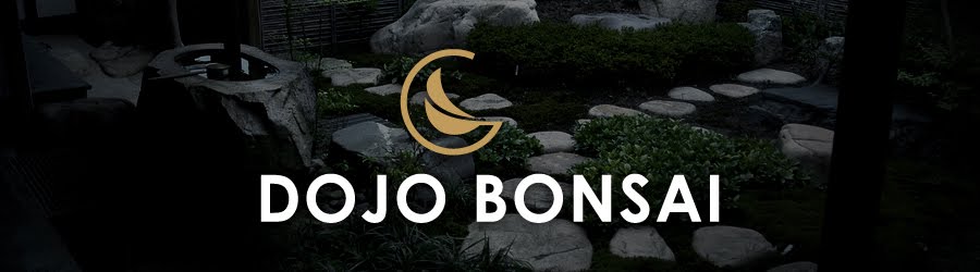 Dojo bonsai club