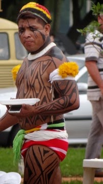 Mobilização Indigena Brasilia