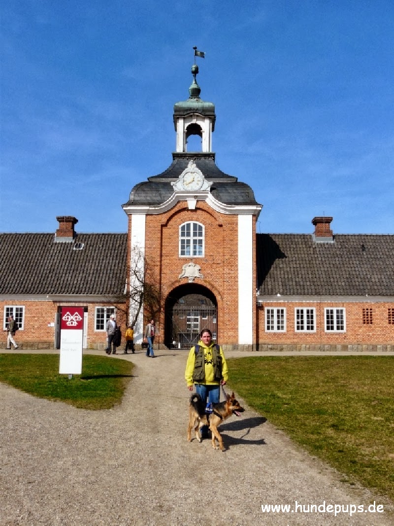 Hundepups Freilichtmuseum Molfsee