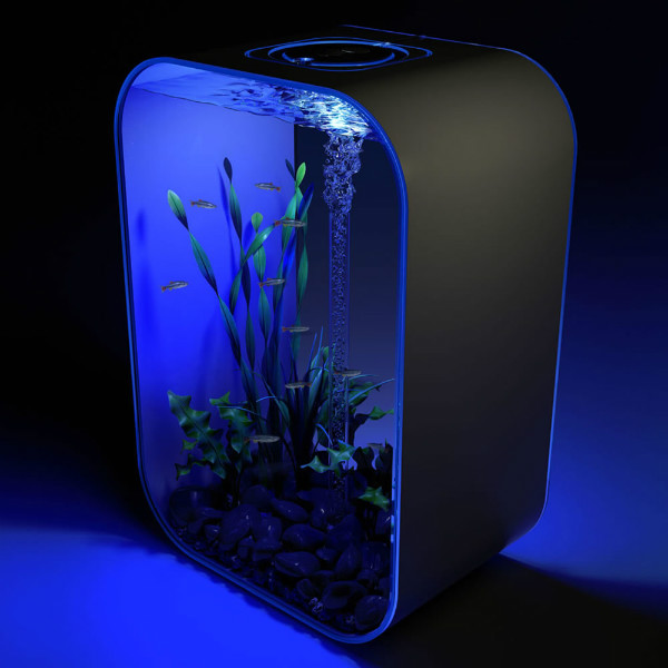 20 Creative and unusual Fish Tank Aquariums Spicytec