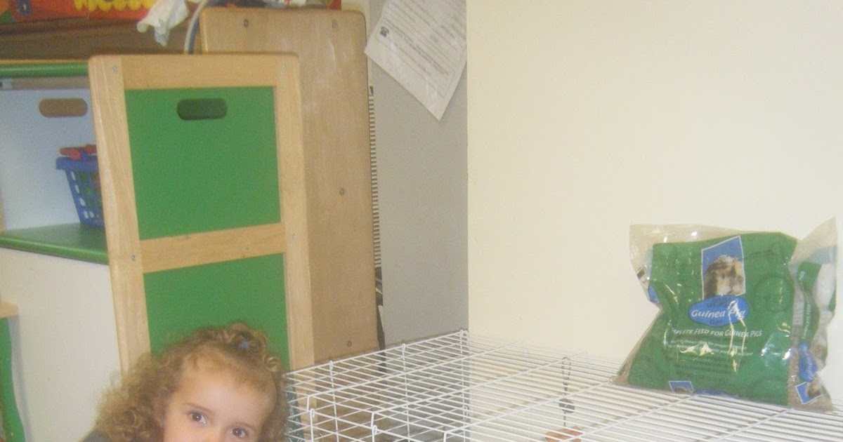 Pre K Sweet Peas Pets