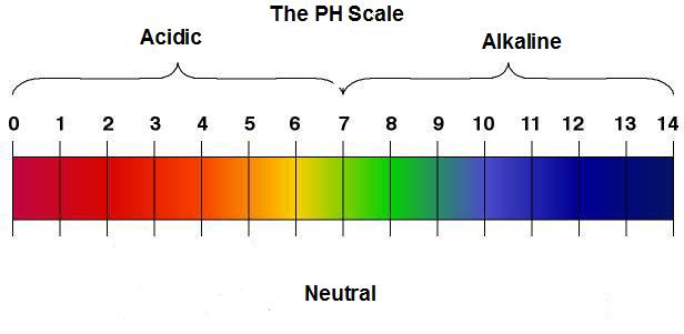 ph scale hair
