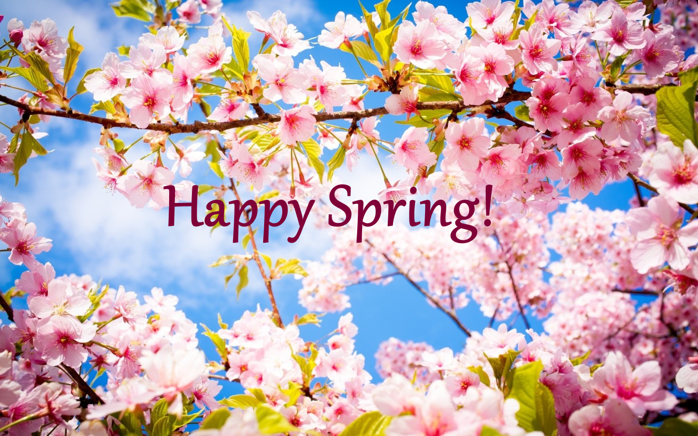 Natrunsfar: Happy Spring!!