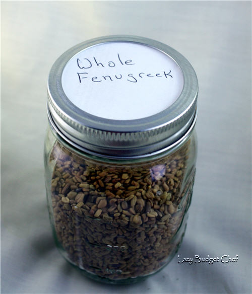 Lazy Budget Chef DIY Mason Jar Vacuum Sealer