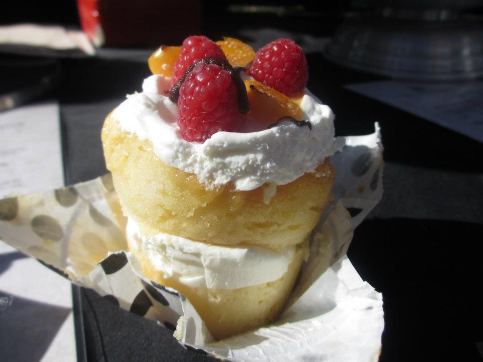 Best Cupcakes in South Africa