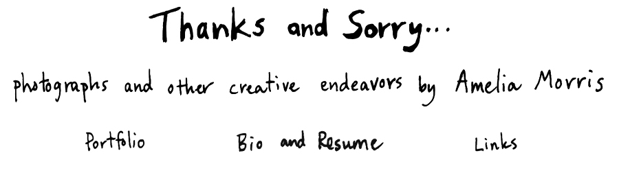 Thanks and Sorry: Photographs and Other Creative Endeavors by Amelia Morris
