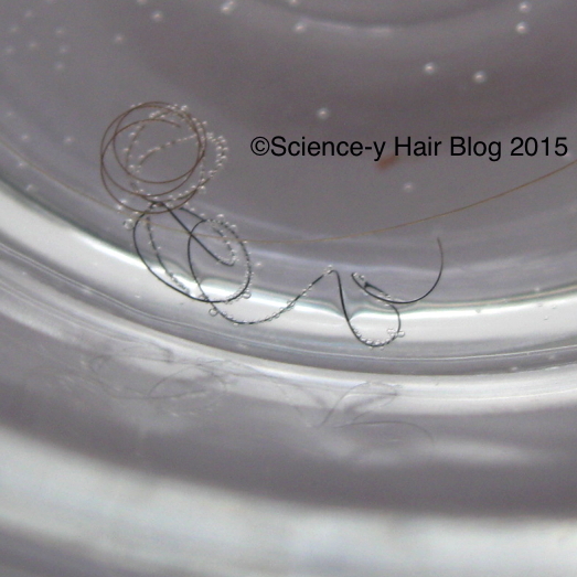 Sciencey Hair Blog Hair Porosity The Float Test Part Two