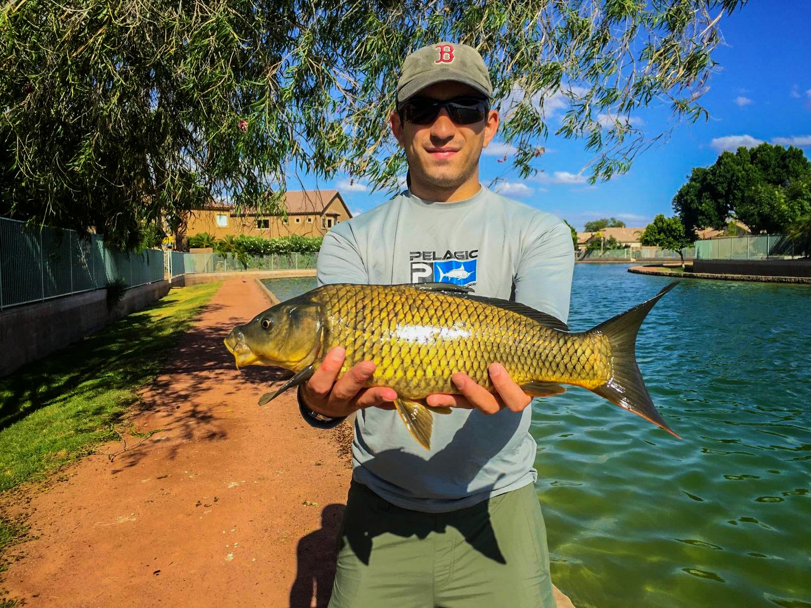 District Carp Phoenix Carp Fishing