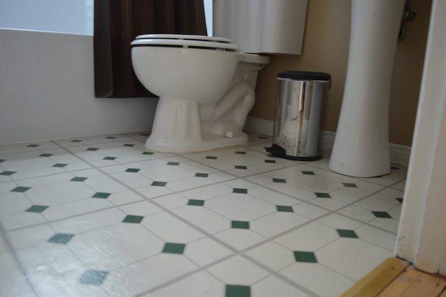 grout tile stains urine remove bathroom floor linoleum tiles floors cleaning flooring removeallstains pee dog cat peeing smell cleaner