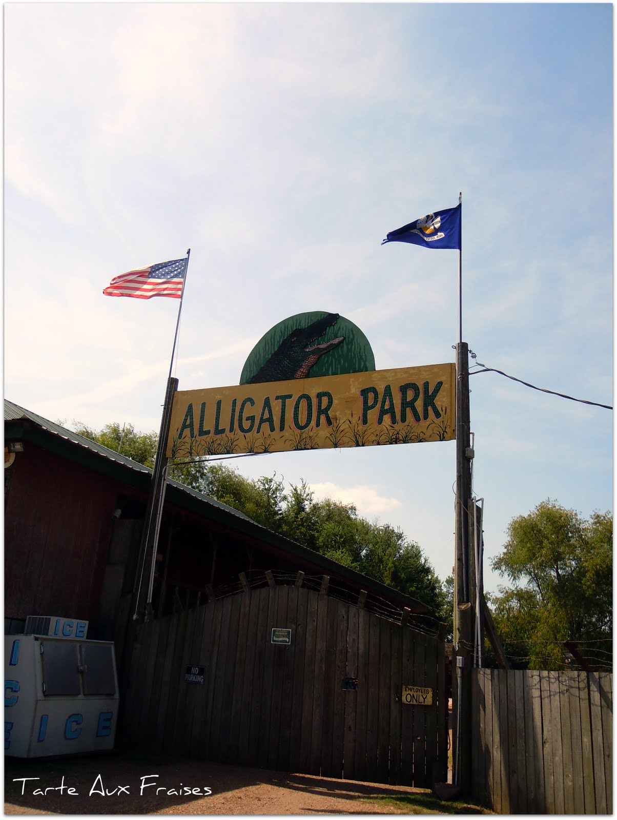Tarte Aux Fraises Bayou Pierre Alligator Park Louisiana