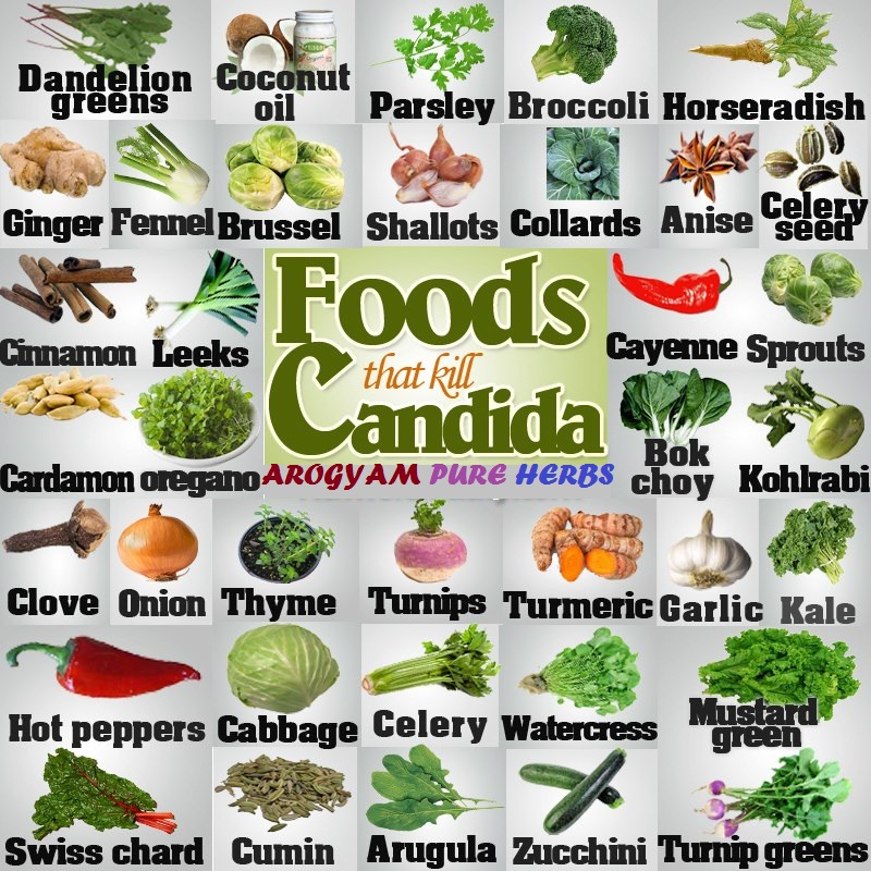 anti yeast food candida herbal cure anti yeast food candida herbal cure