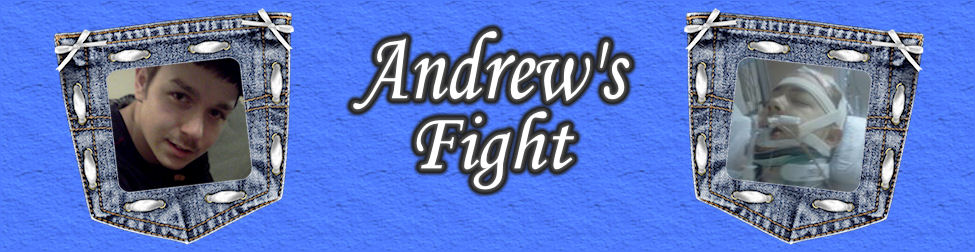 Andrew's Fight