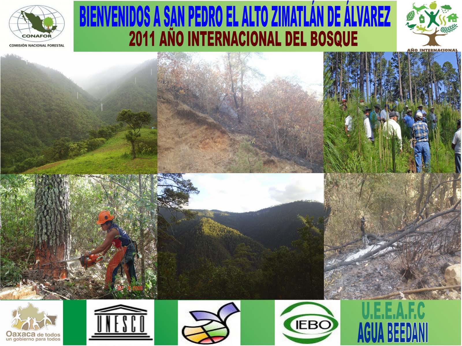 IEBO No. 17 San Pedro el Alto 2011 año internacional de los bosques