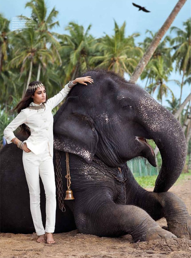 My Loves: Fashion & Elephants