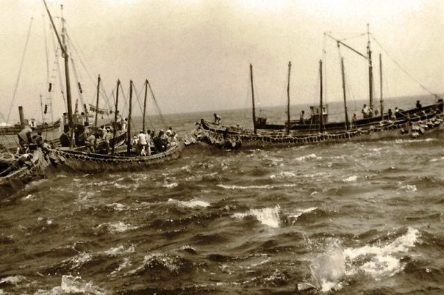 LA ALMADRABA DE TABARCA Alicante Vivo