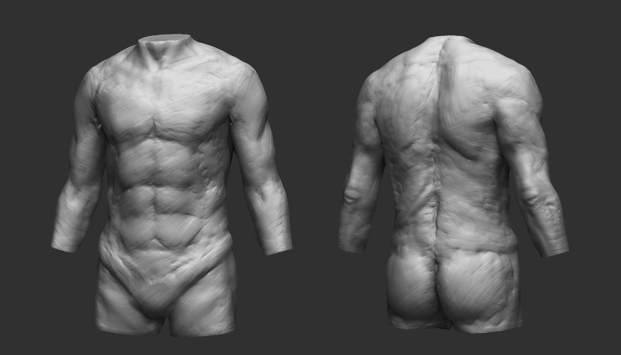 WIP_Torso3_1.png