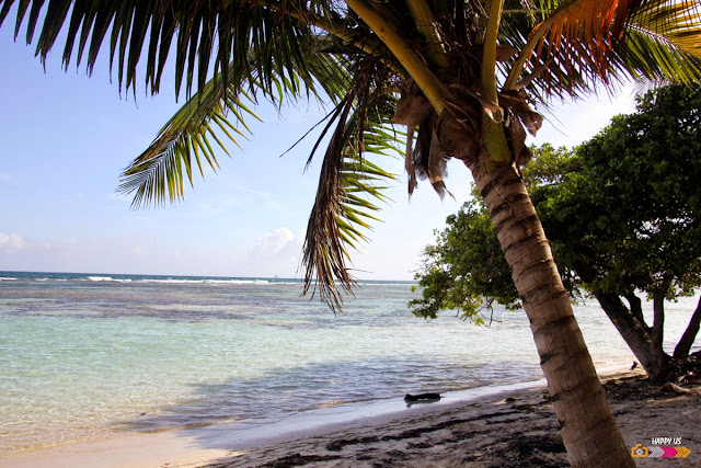 Plage de Bois Jolan à Sainte-Anne