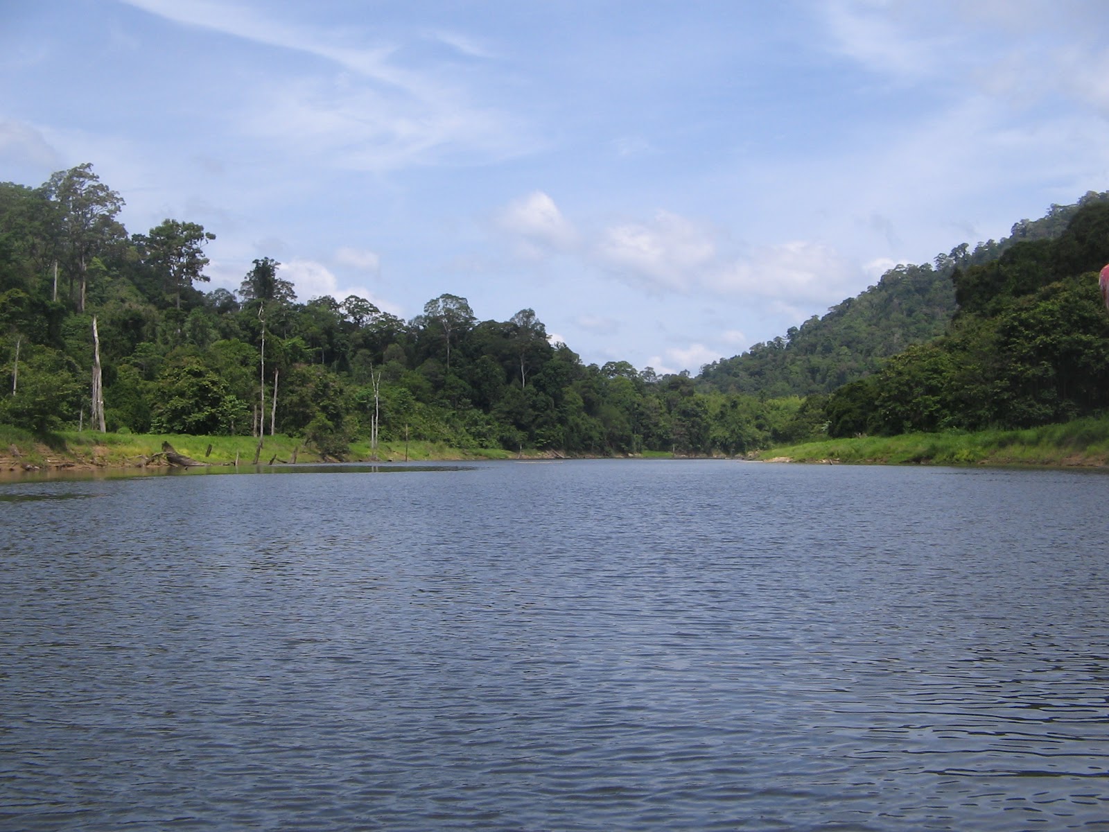 Hjsilah Nature Appreciation & Experience: Royal Belum & My Syawal