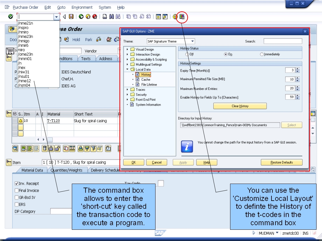 青蛙SAP分享 Froggy's SAP sharing Navigation 08 SAP Screen Elements