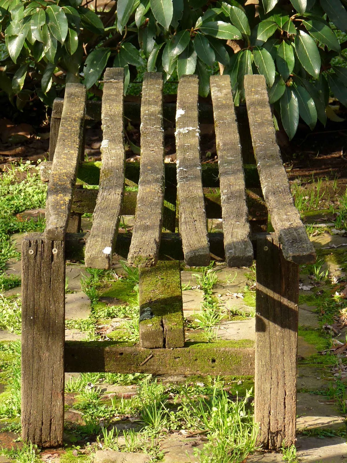 En el jardin: tiempo de descanso