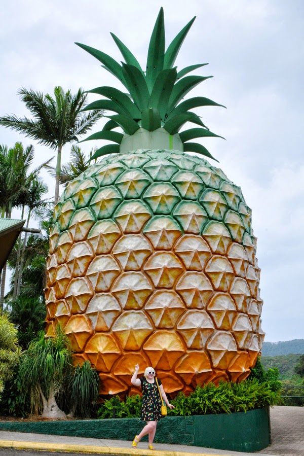 The Big Pineapple! Inside City Chic