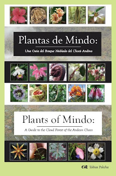 Plants of Mindo by Tobias Policha