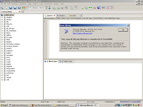 SQLyog Ultimate v9.5.0.2 Bilingual