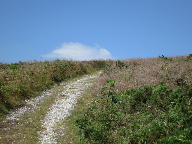 White, stony path between grass and bracken approaches top of hill.