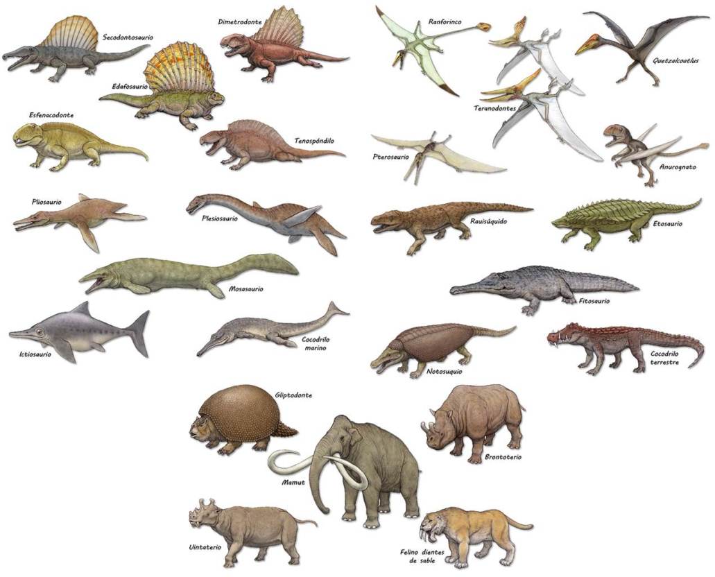 Palaeos, la historia de la Vida en la Tierra: Y a todo esto ¿qué es un  dinosaurio?