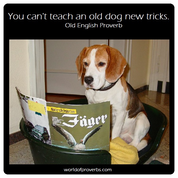 By Fantagu (Own work) [Public domain],