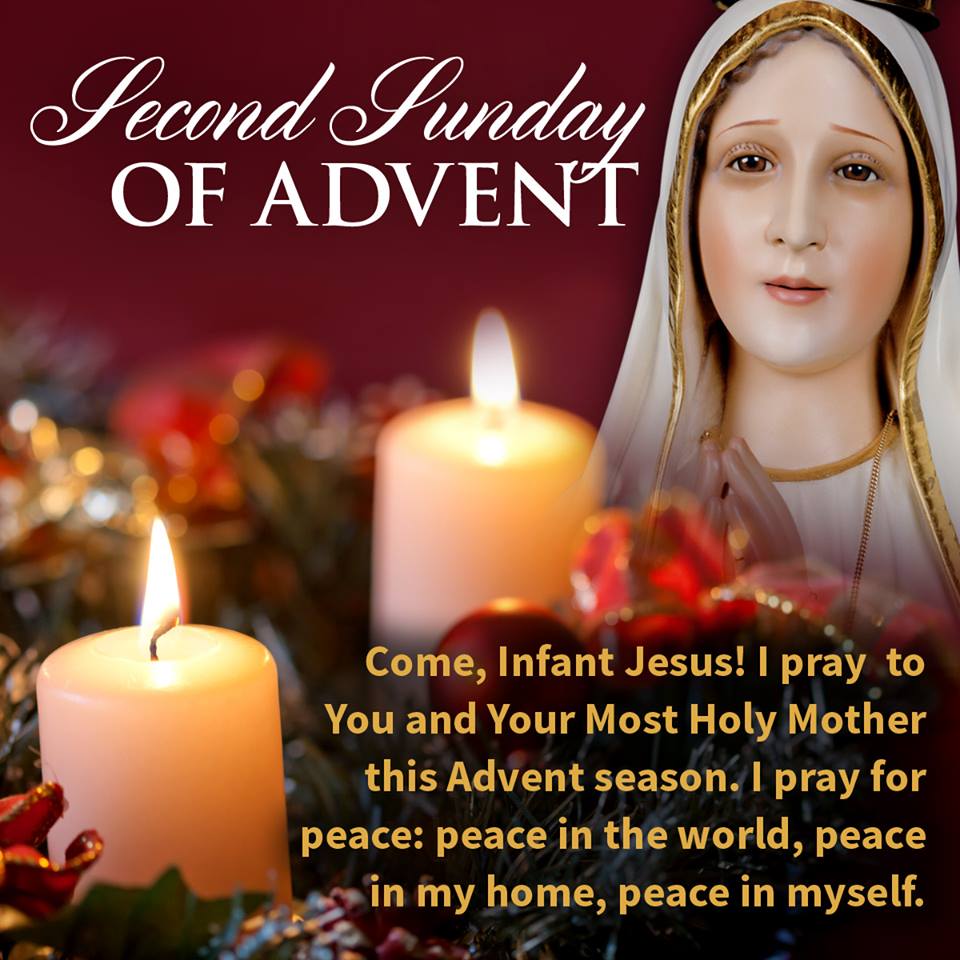 The America Needs Fatima Blog Second Sunday of Advent