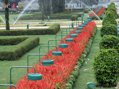 Well maintained Flower beds Flower beds in Mysore Brindavan gardens