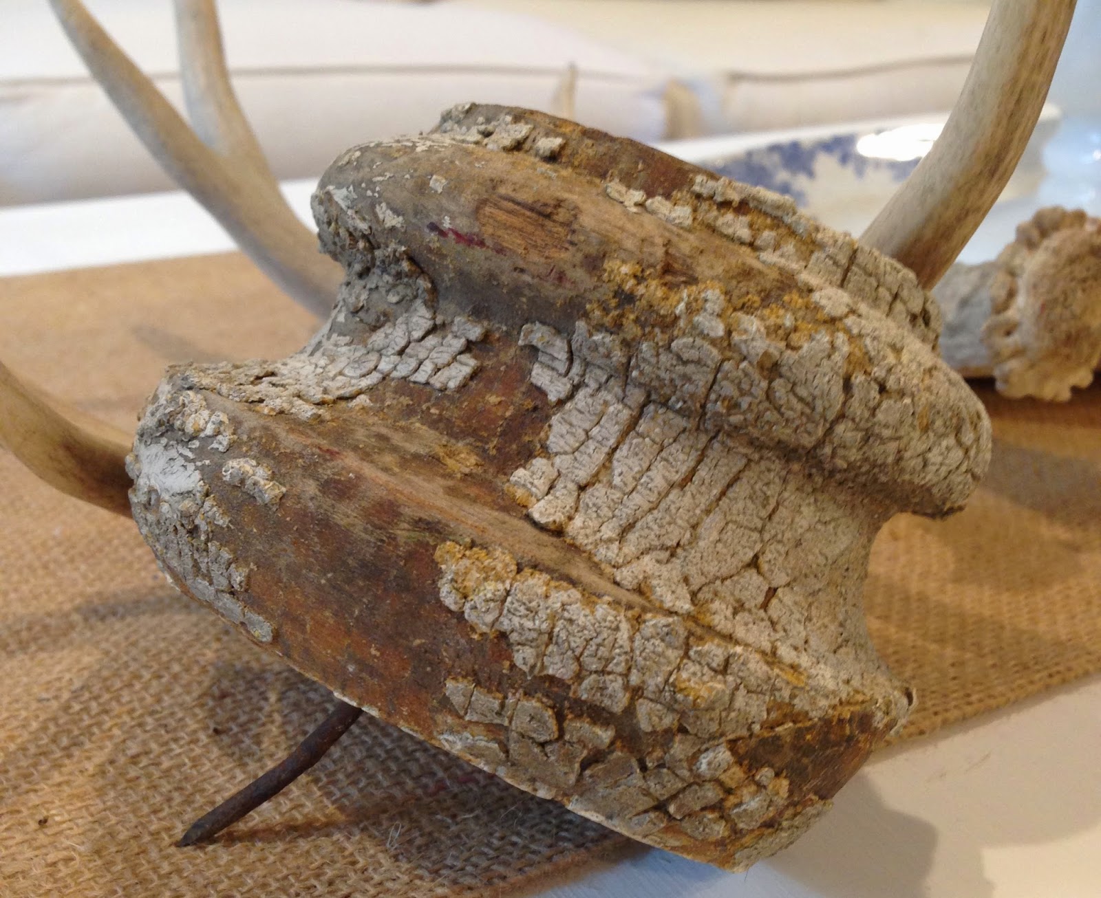 Coastal Charm Bell Buckle