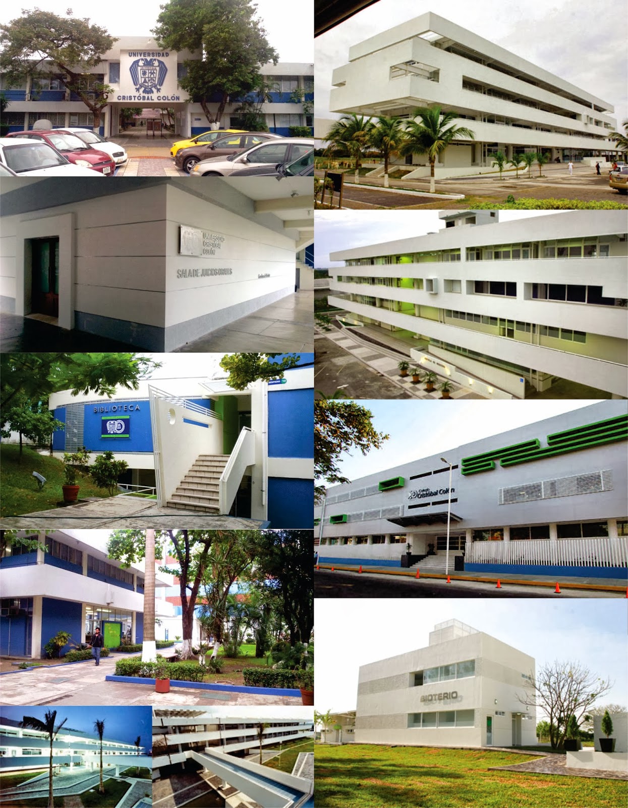 Notas de ASINEA90 Veracruz UCC La Universidad Cristóbal Colón