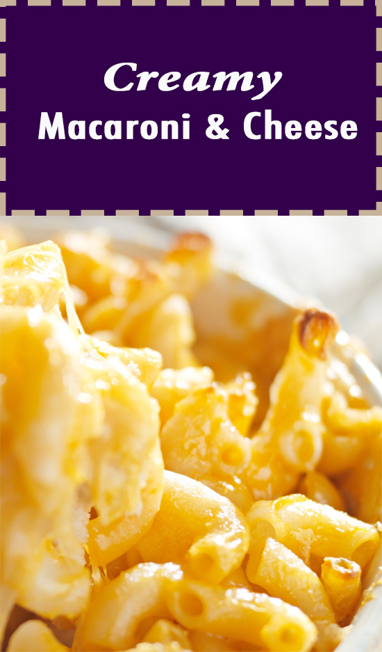 Daily Fast Recipes Creamy Macaroni and Cheese