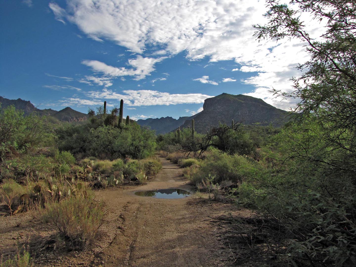 Desert Colors Pleasant weather