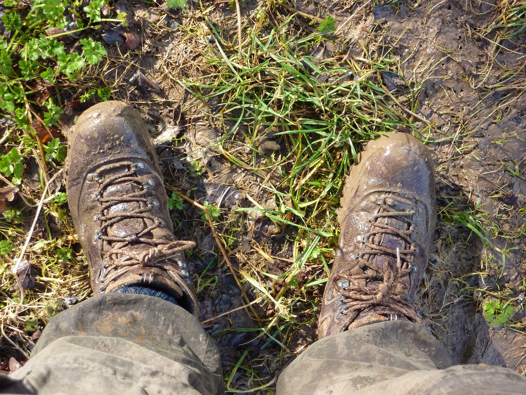 Stinky Shoes 101: How to Get Rid of Hiking Boot Odor