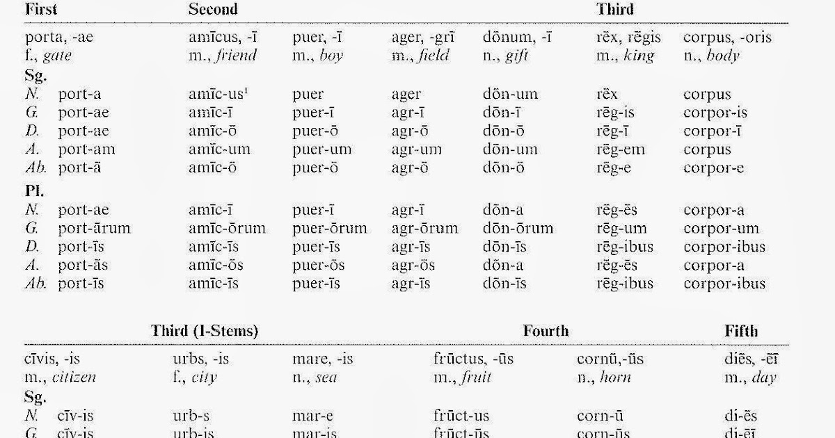 Latin Grammar Nouns Dropout Latin