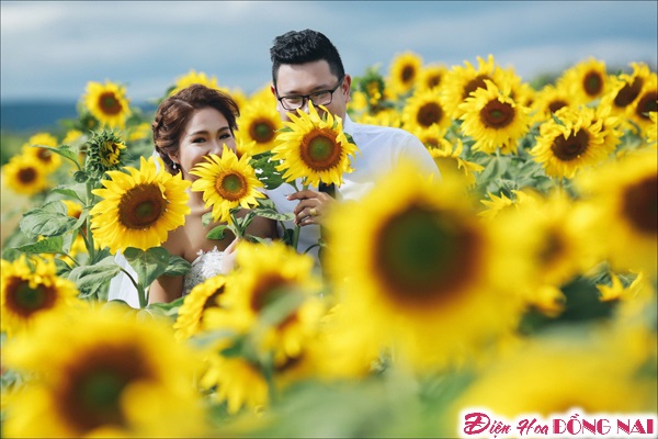 [Image: Chum-anh-cuoi-lang-mang-giua-mua-hoa-Da-Lat-7.jpg]