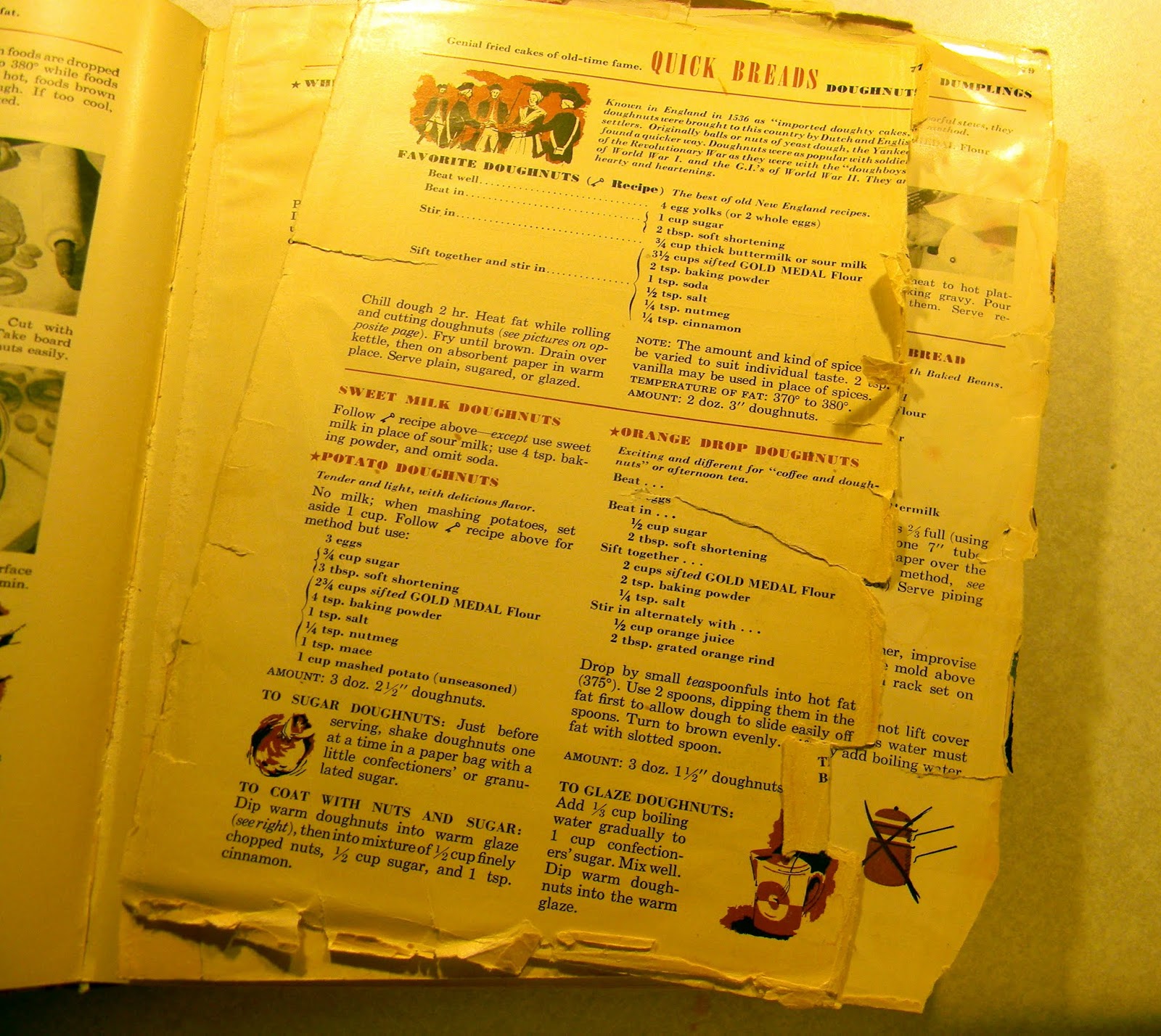 book ein systemisches projektmodell fur eine kooperative