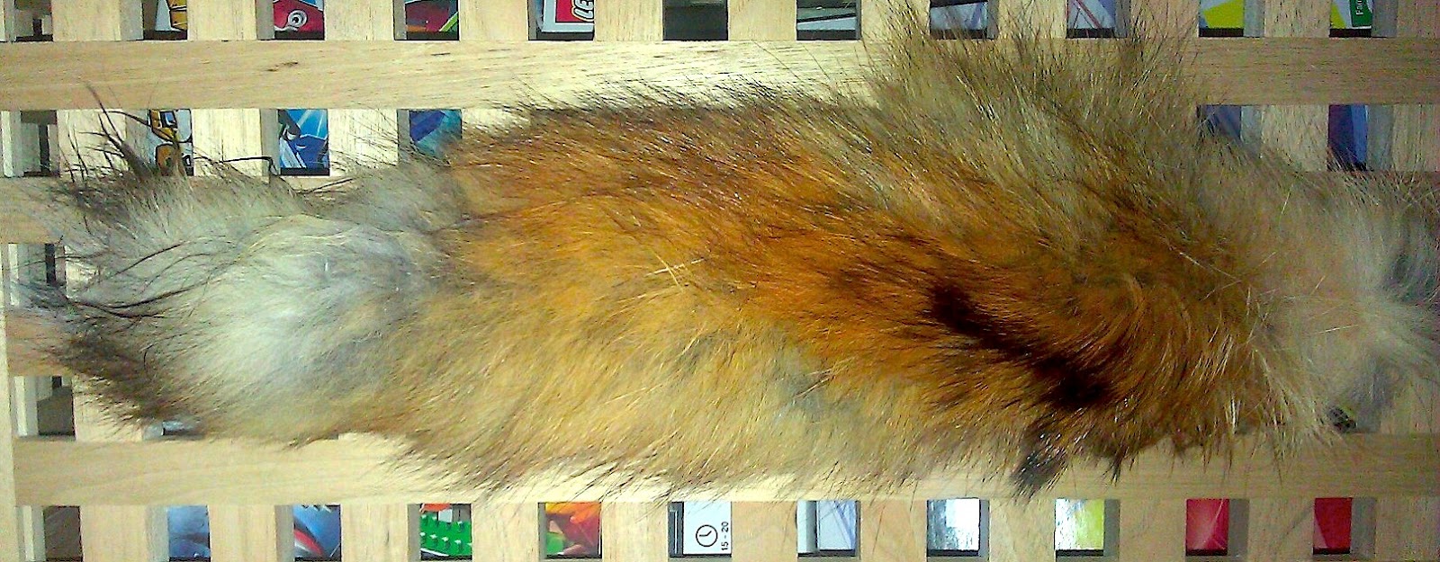 The Smallmouth Fly Box Lietzau Taxidermy Cosmos, Minnesota