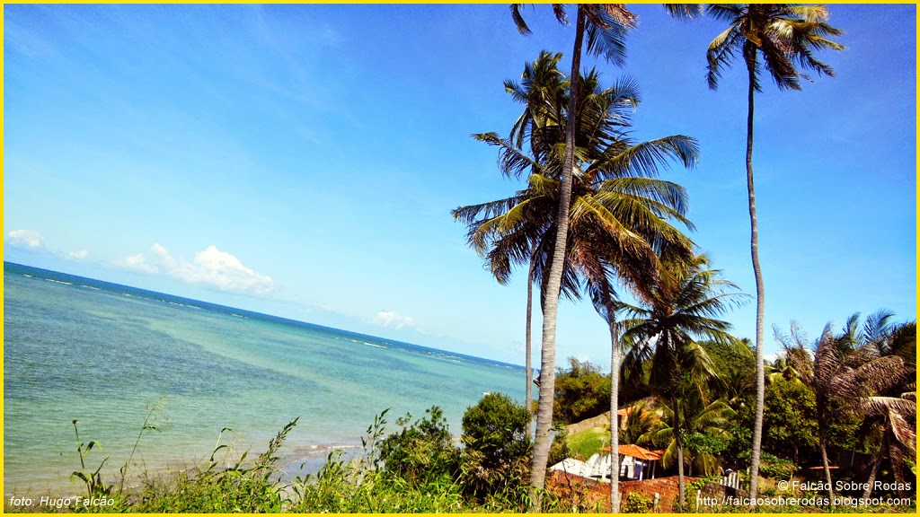 [Imagem: DSCN2926.JPG]