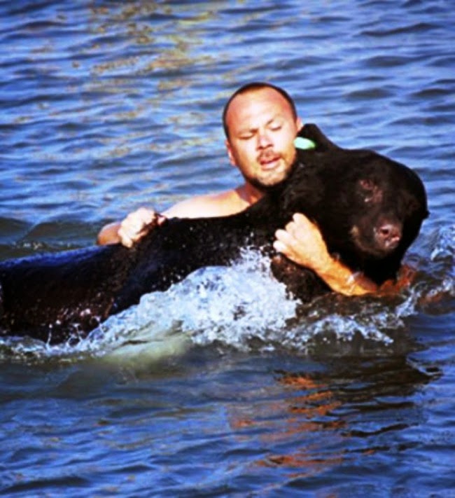 #21. Adam Warwick saved this 400 pound black bear from drowning by jumping into the ocean after it and pulling him back to shore. - 24 Happy Animal Photos Made Possible By The People Who Saved Them. #21. Adam Warwick saved this 400 pound black bear from drowning by jumping into the ocean after it and pulling him back to shore. - 24 Happy Animal Photos Made Possible By The People Who Saved Them.