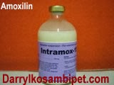 INTRAMOX