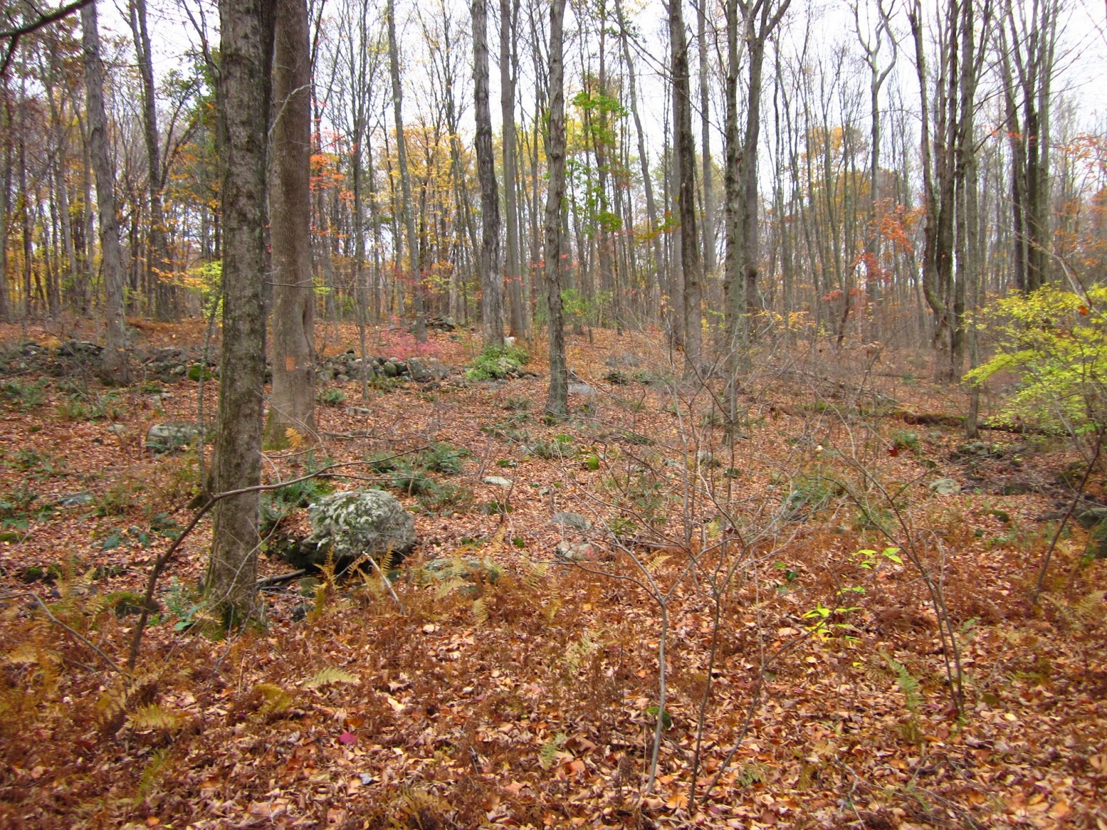 Rock Piles Quanopaug Trail Rock Pile